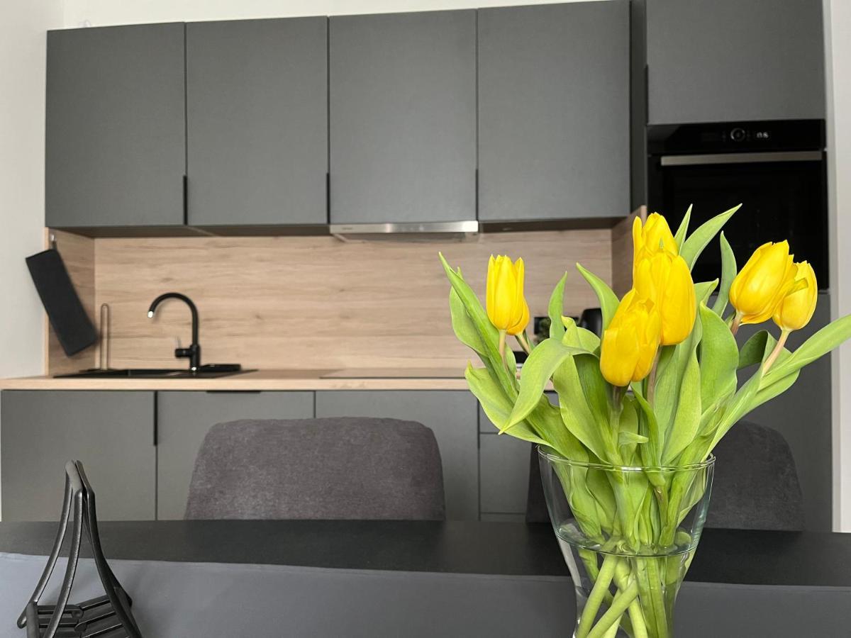 Apartment Kammi ザグレブ エクステリア 写真